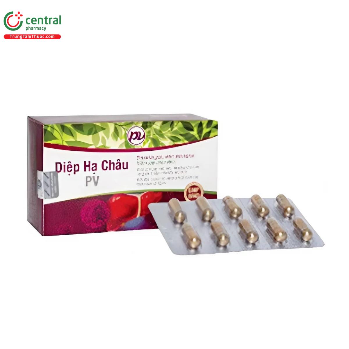 thuoc diep ha chau pv 1 P6066 thuoc diep ha chau pv 1 P6066