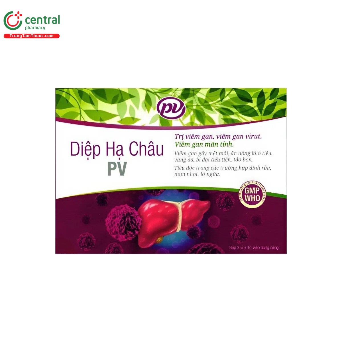thuoc diep ha chau pv 2 S7145 thuoc diep ha chau pv 2 S7145