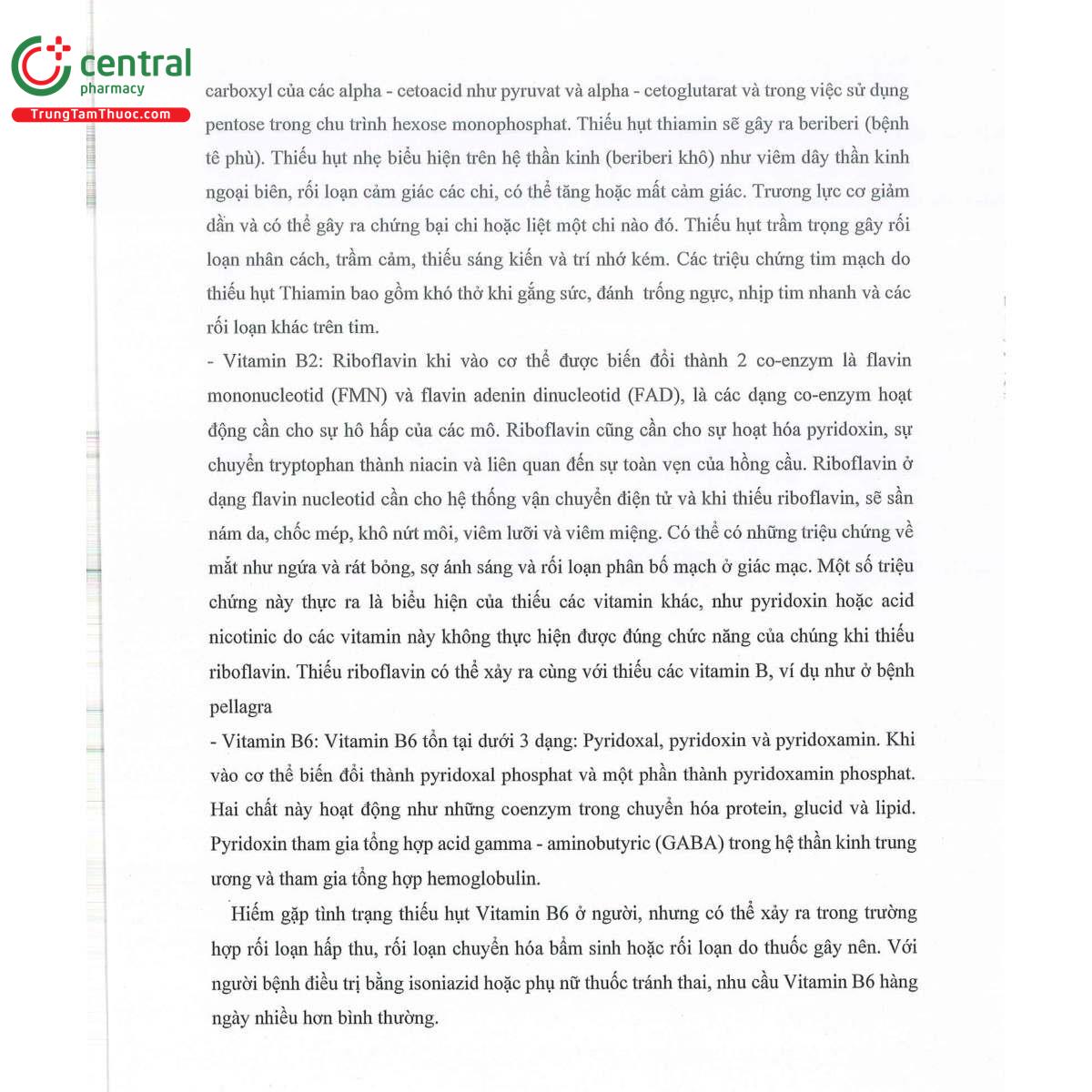 thuoc euroginko extra 7 F2017 thuoc euroginko extra 7 F2017