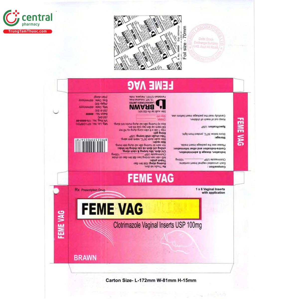 thuoc feme vag 100mg 2 U8738