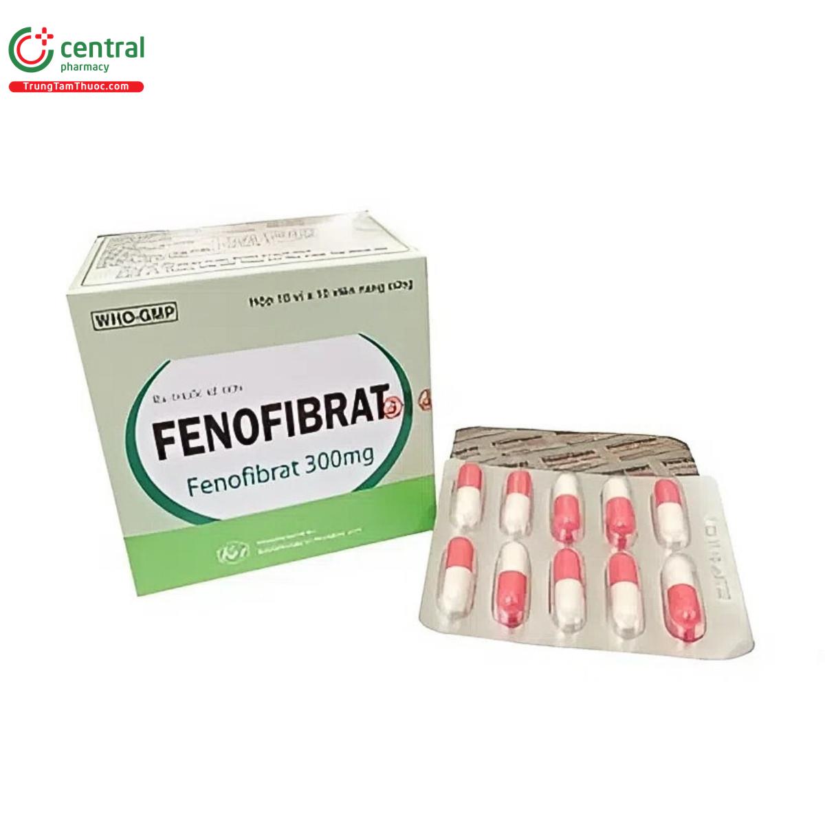 thuoc fenofibrat 300mg khapharco 1 E1741 thuoc fenofibrat 300mg khapharco 1 E1741
