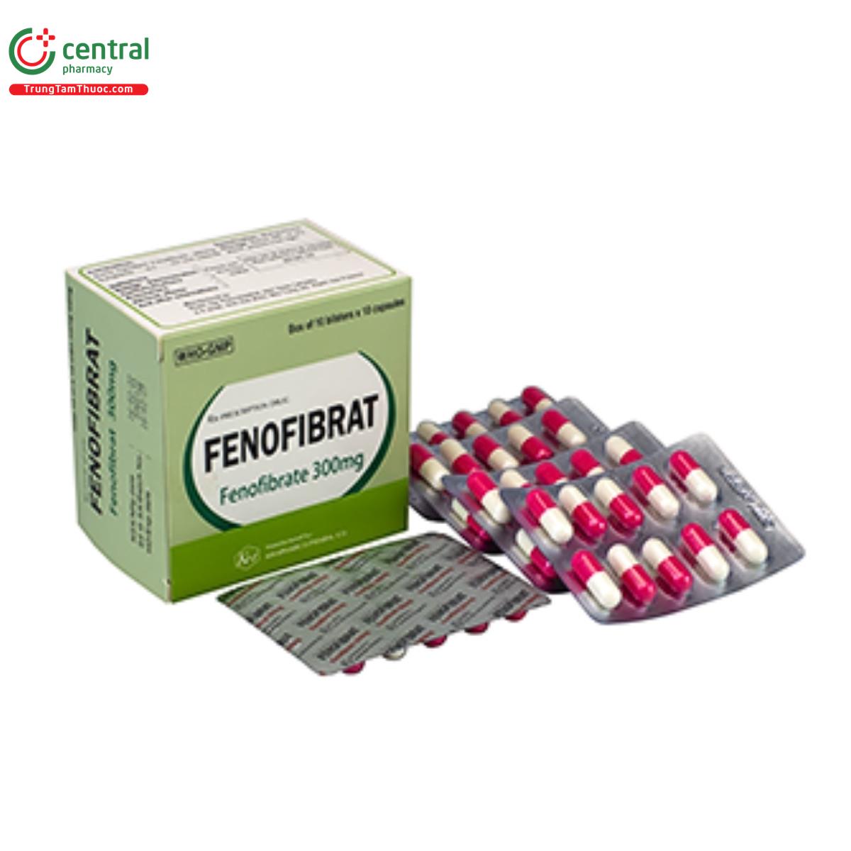 thuoc fenofibrat 300mg khapharco 2 L4480 thuoc fenofibrat 300mg khapharco 2 L4480