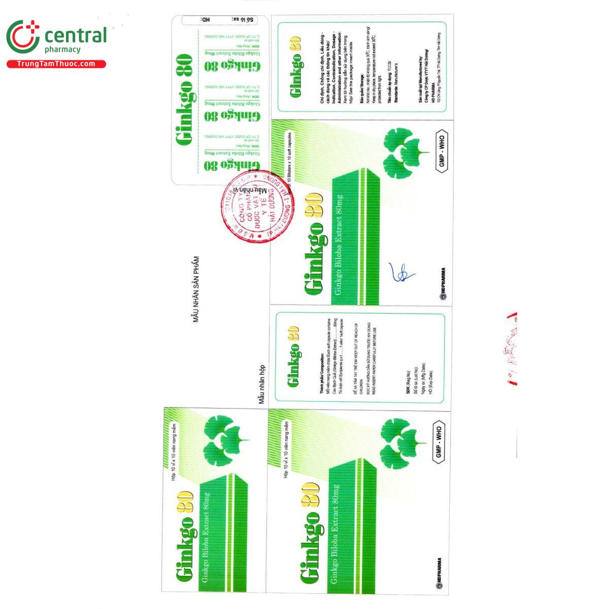 thuoc ginkgo 80mg 3 M5367 thuoc ginkgo 80mg 3 M5367