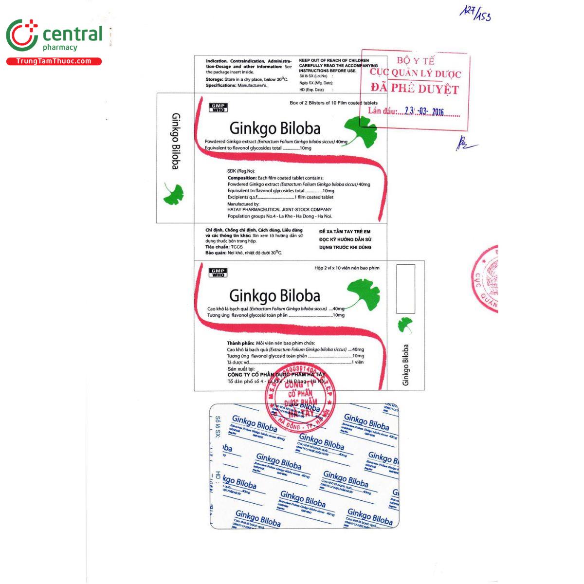thuoc ginkgo biloba hataphar 3 P6613