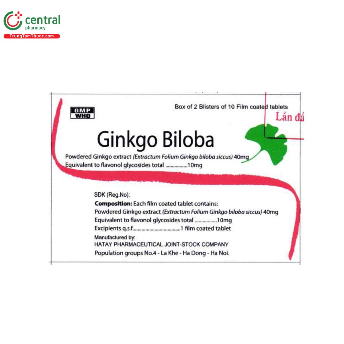 thuoc ginkgo biloba hataphar I3066