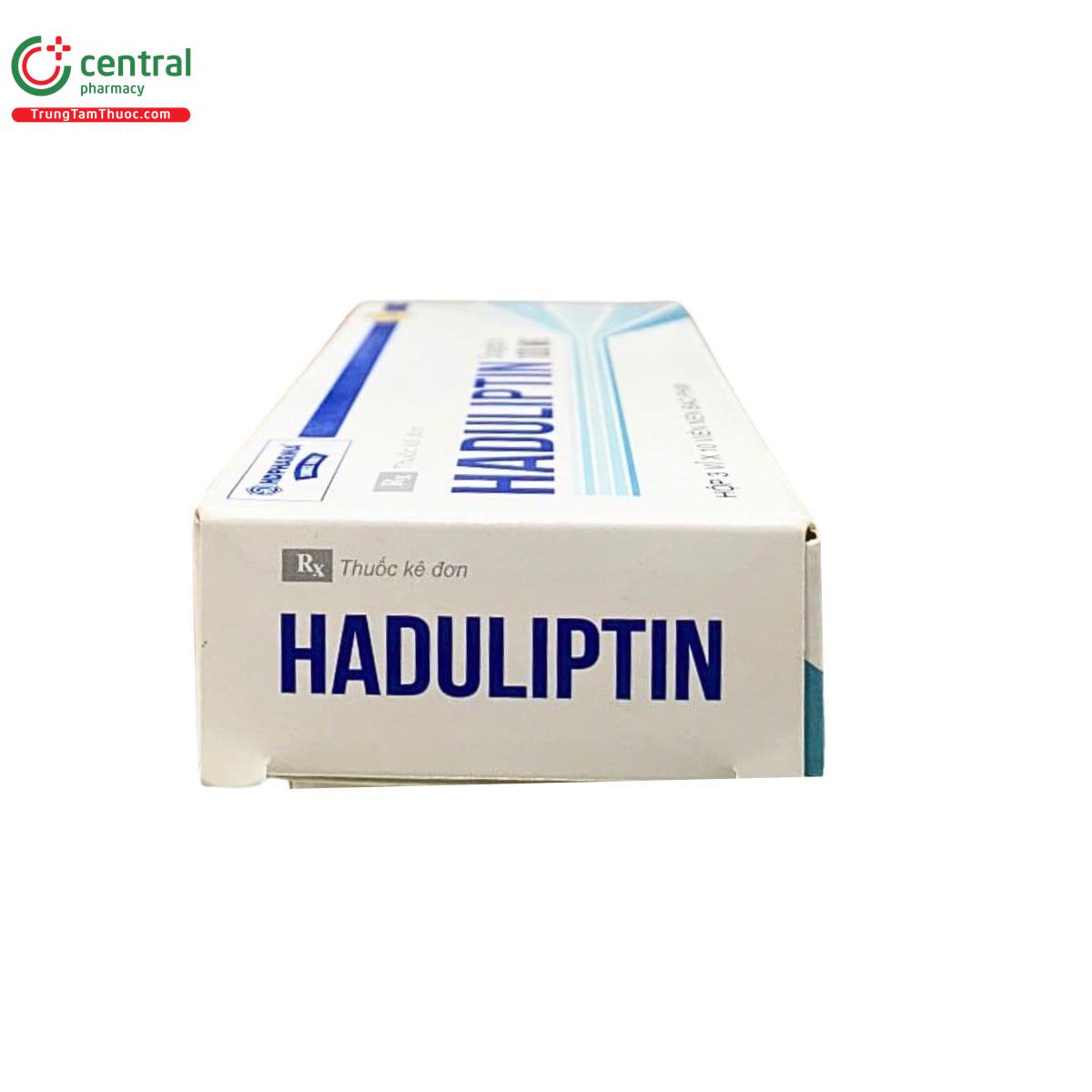 thuoc haduliptin 100mg 5 P6231