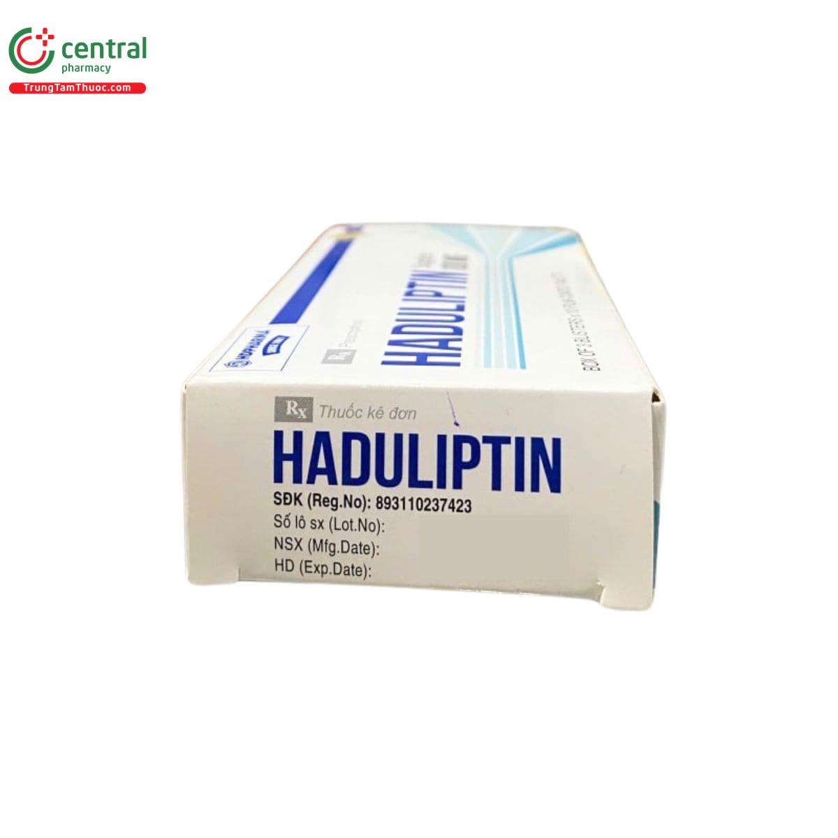 thuoc haduliptin 100mg 6 E1033