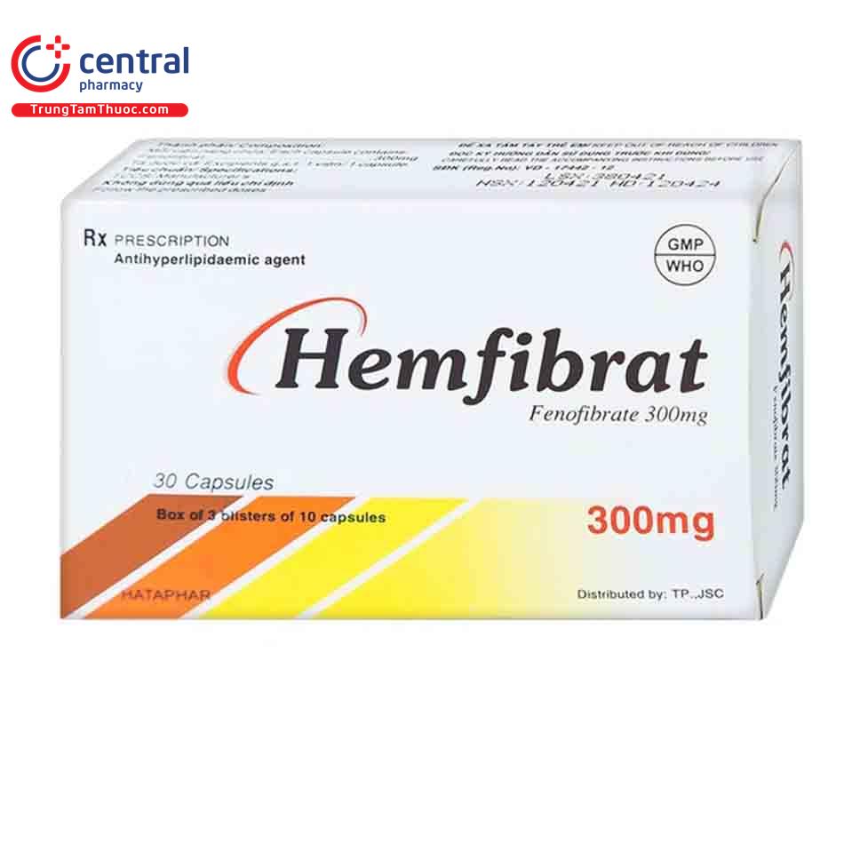 thuoc hemfibrat 300mg 2 L4328