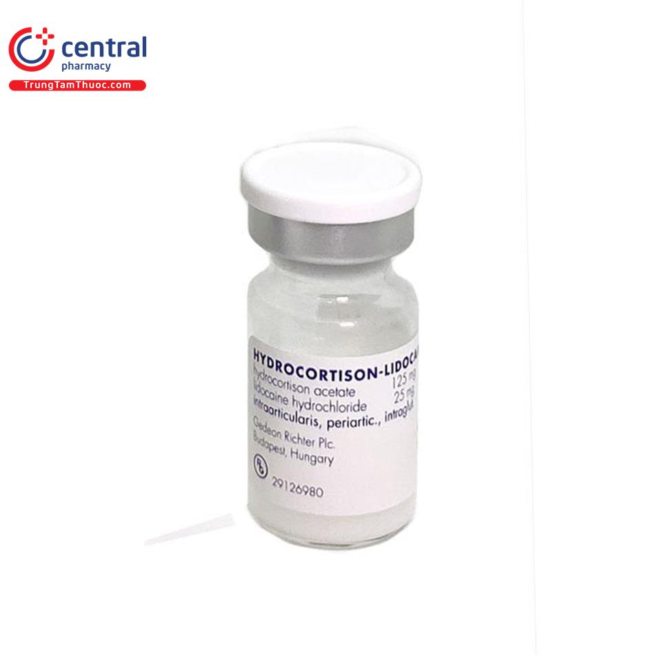 thuoc hydrocortison lidocain richter 2 H3362