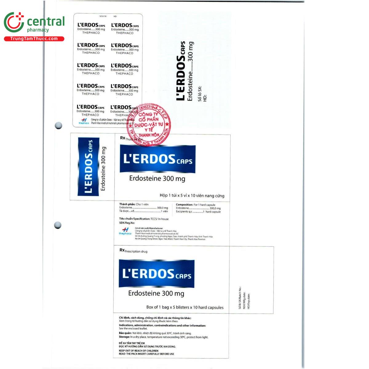 thuoc l erdos caps 300mg 3 C1467