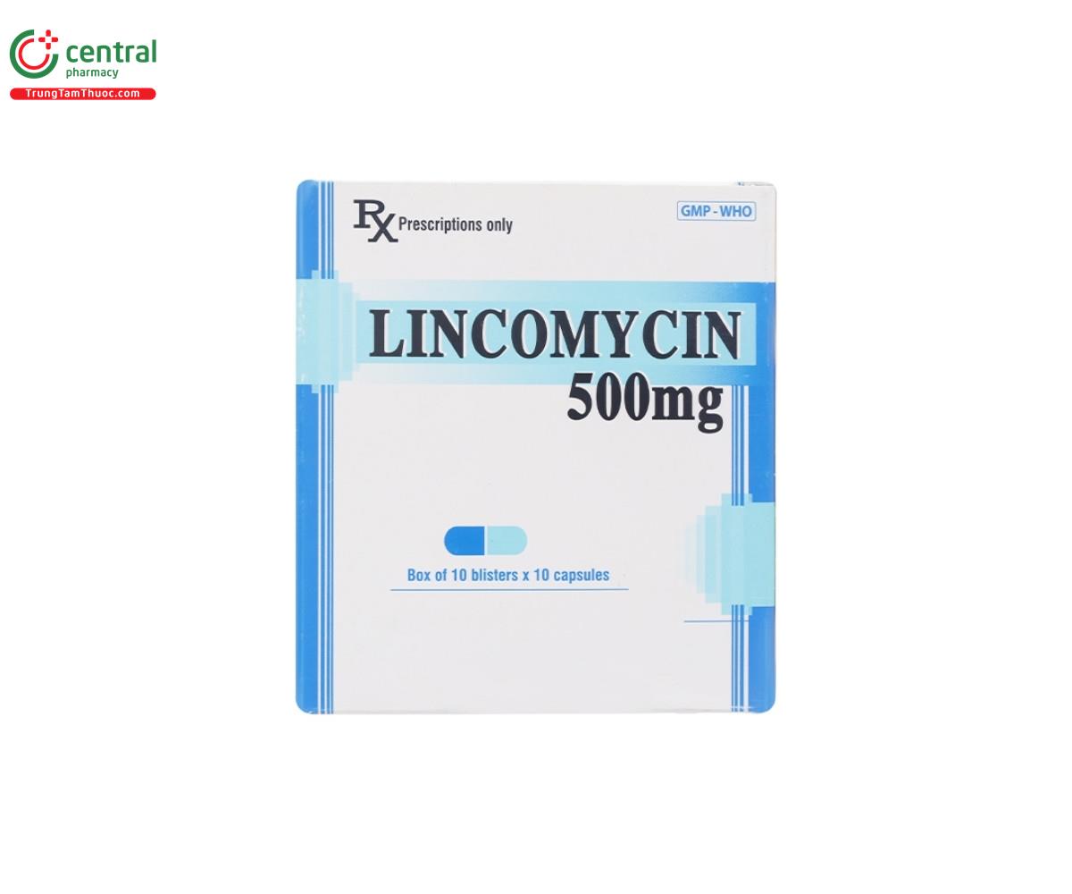 thuoc lincomycin 500mg enlie 2 D1383 thuoc lincomycin 500mg enlie 2 D1383