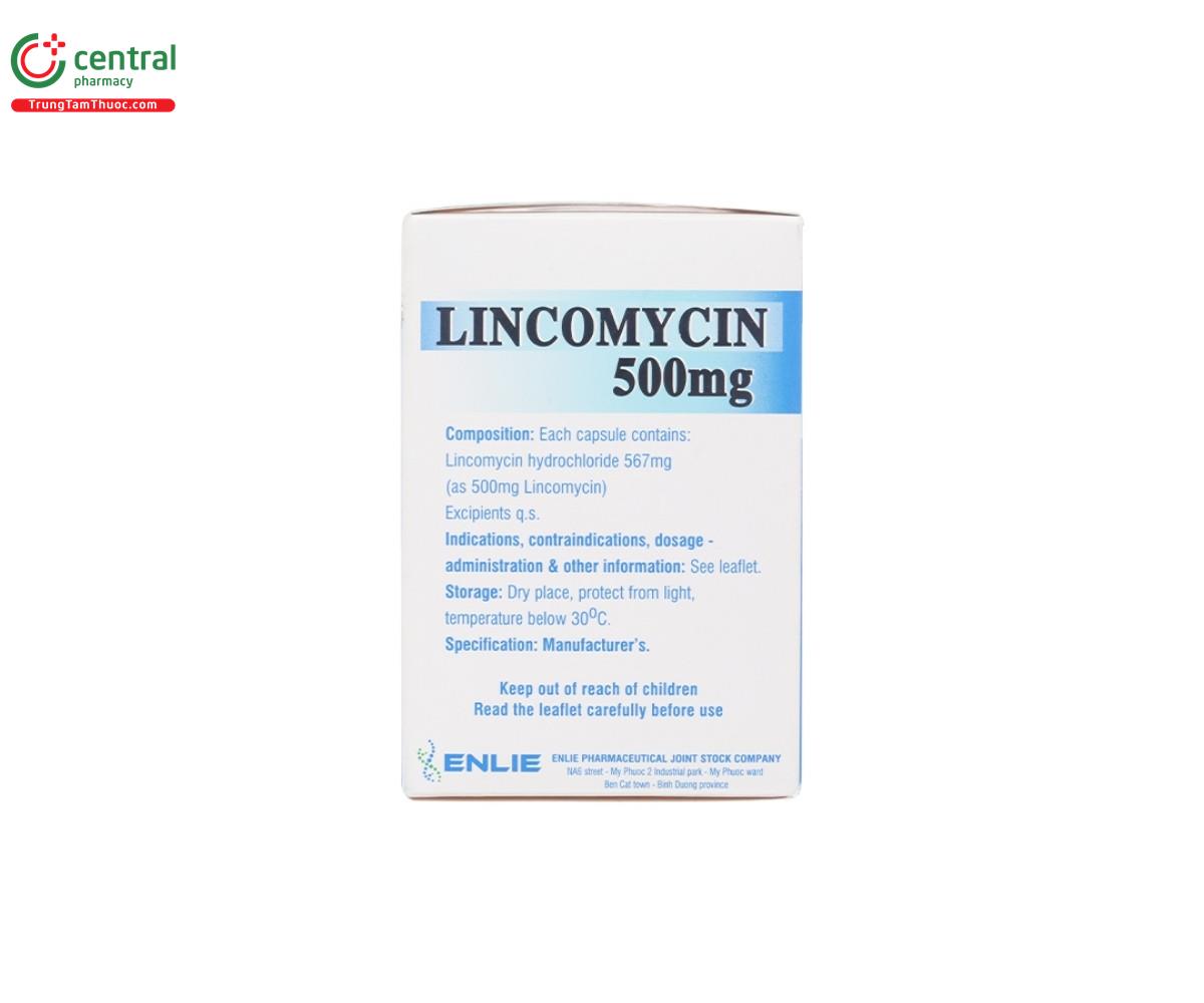 thuoc lincomycin 500mg enlie 4 I3362 thuoc lincomycin 500mg enlie 4 I3362