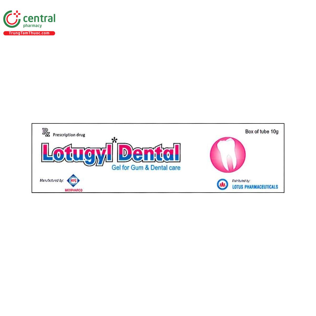 thuoc lotugyl dental 1 L4724