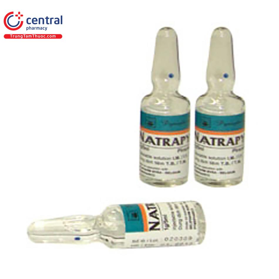 thuoc naatrapyl 1g 5 J4042