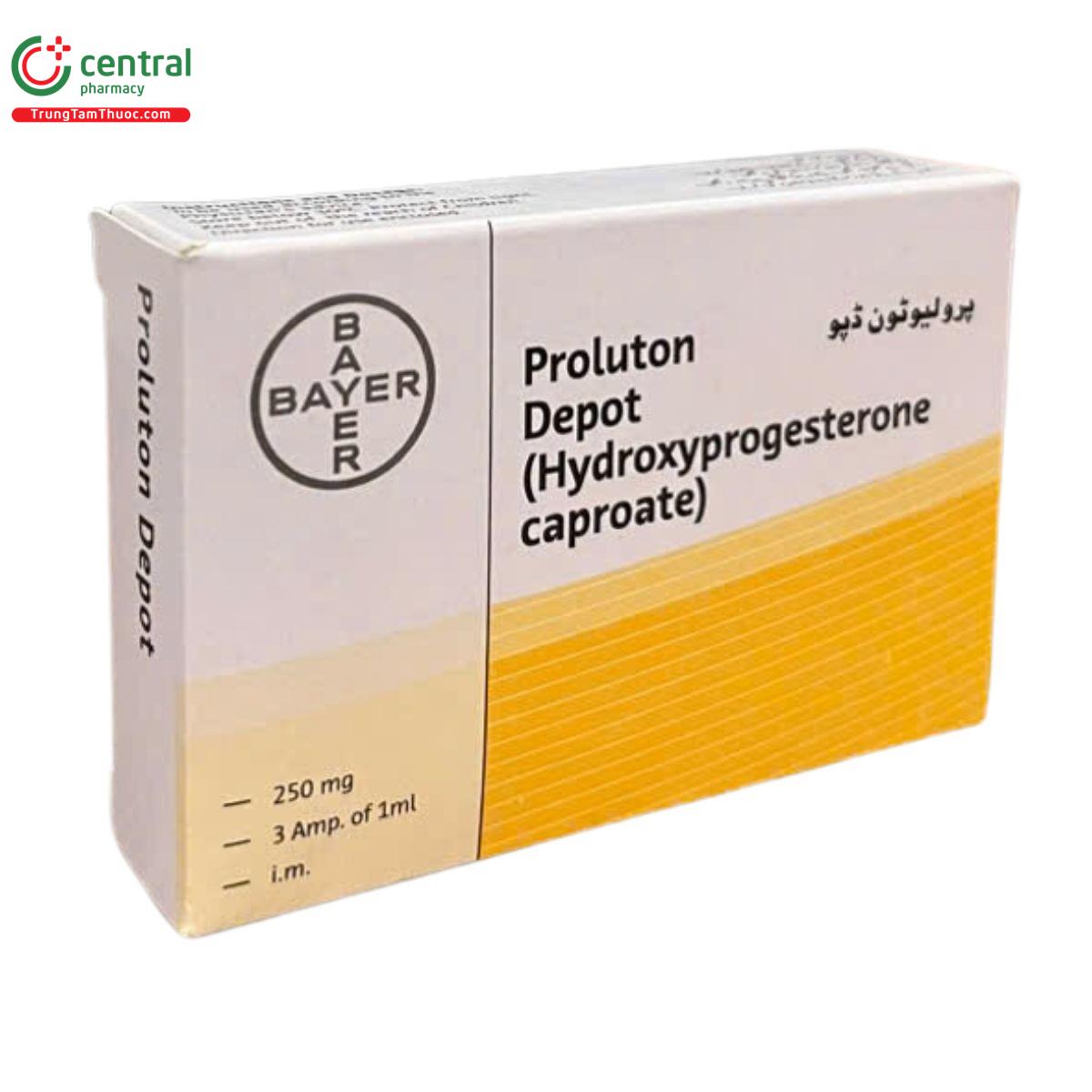 thuoc proluton 13 A0767