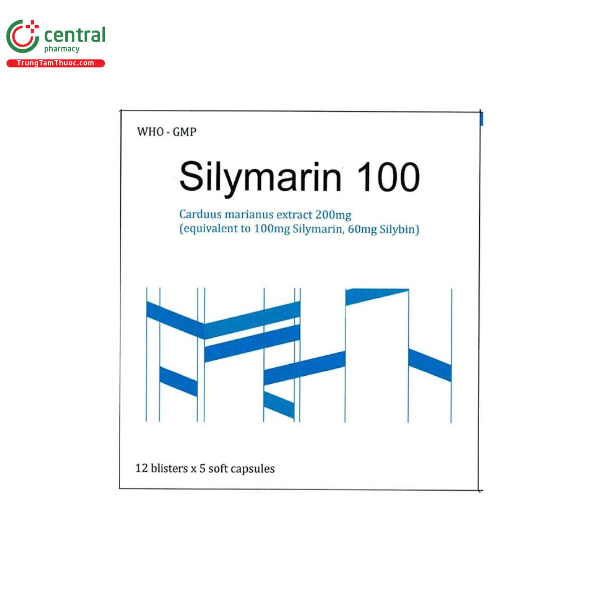 thuoc silymarin 100mg 3 J4745