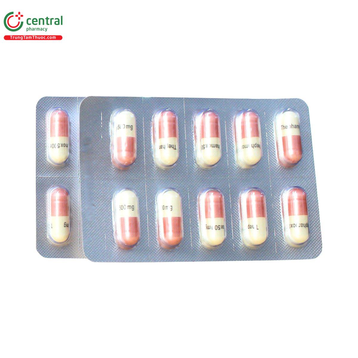 thuoc thephamox 500mg 1 N5381