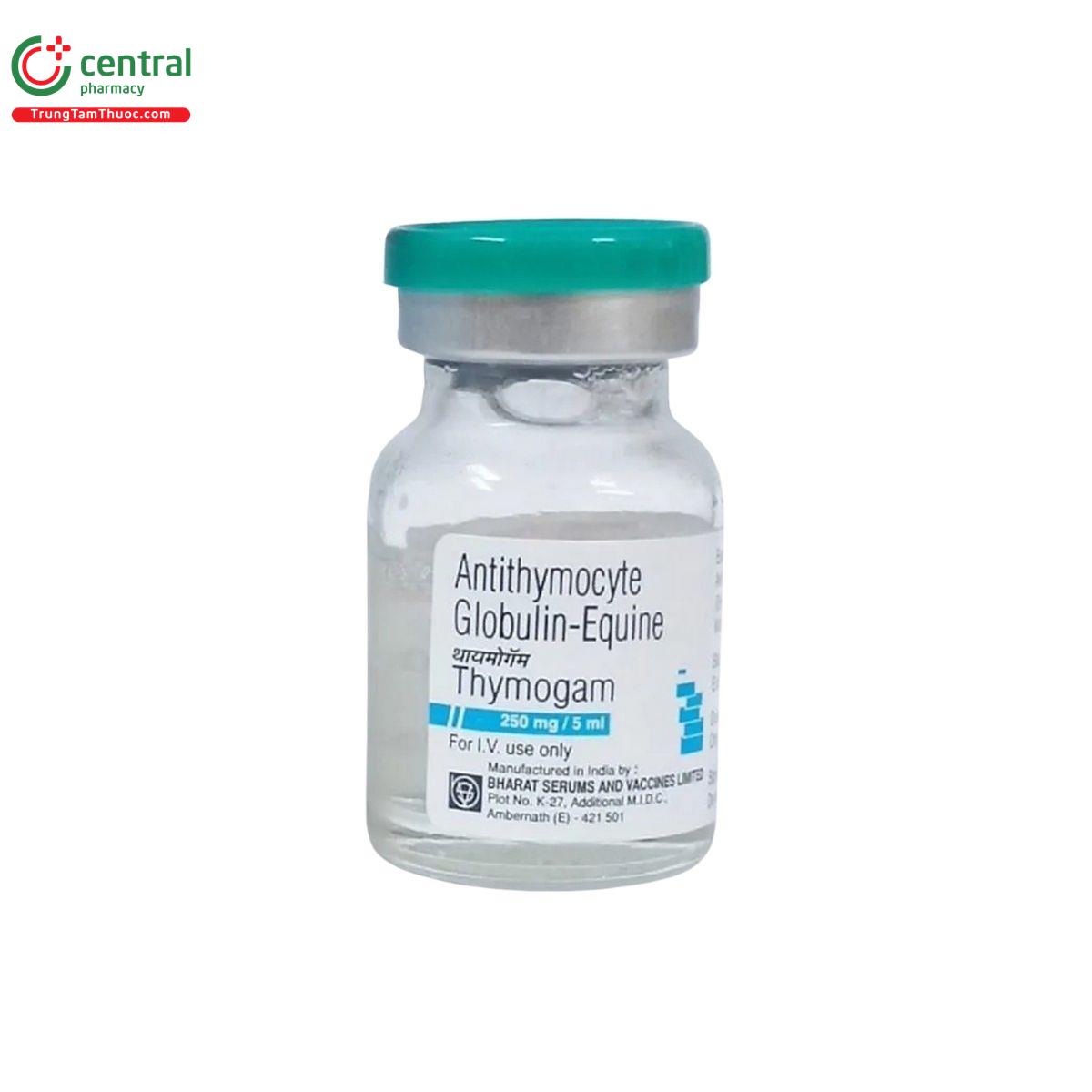 thuoc thymogam 250mg 5ml bharat 8 O5633