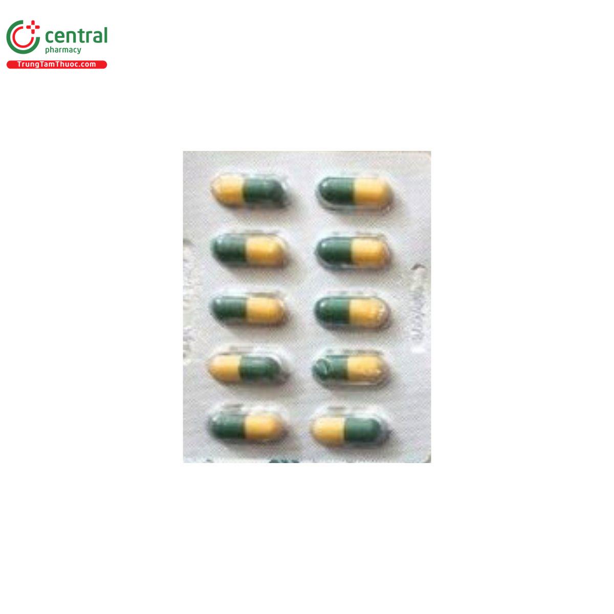 thuoc tramadol 50mg new life pharma 5 E1231