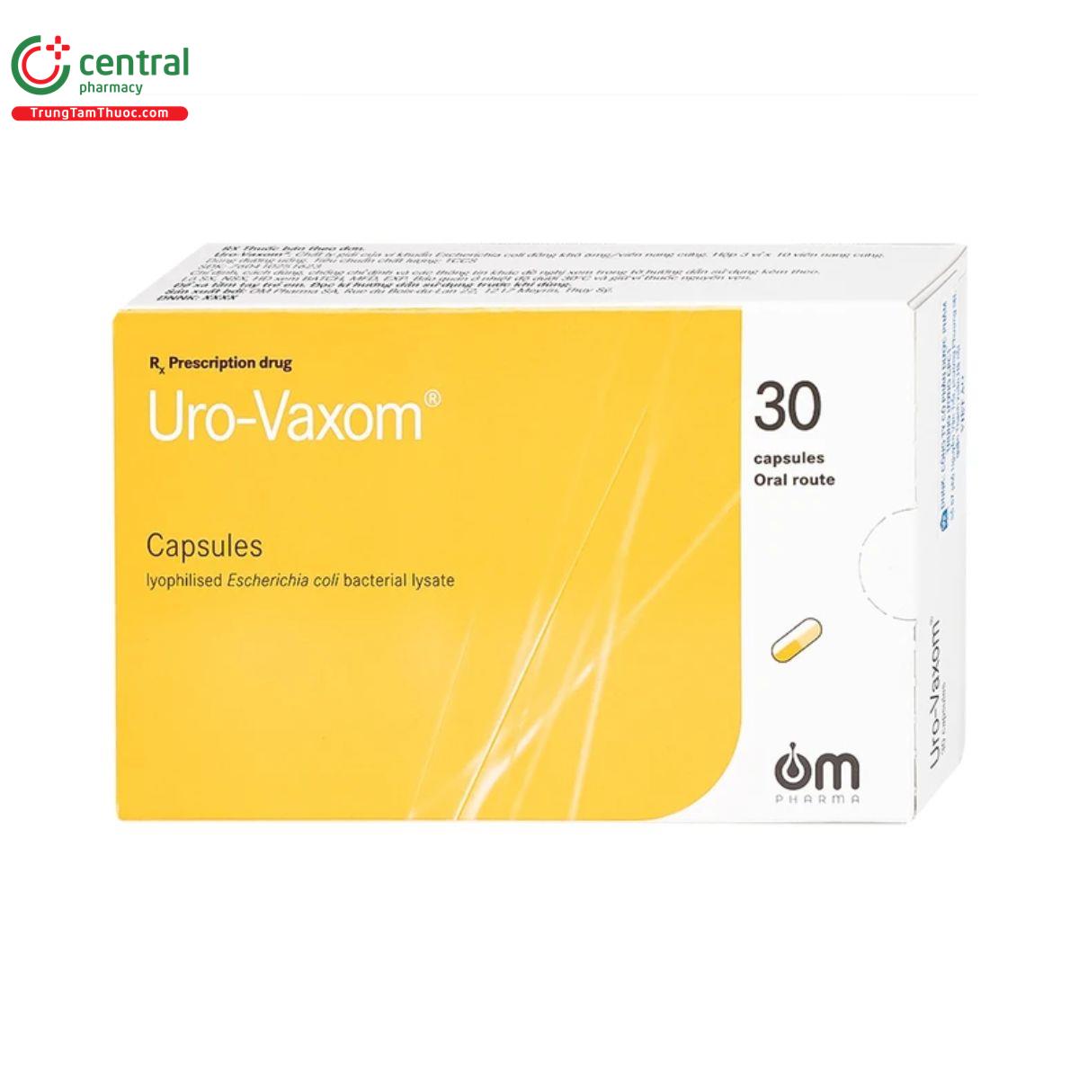 thuoc uro vaxom 6mg 1 R7116