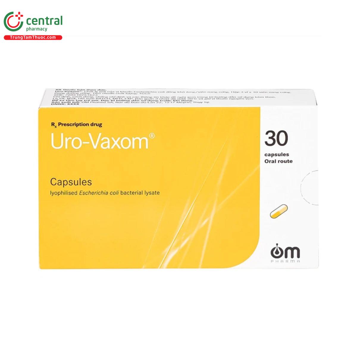 thuoc uro vaxom 6mg 3 I3480