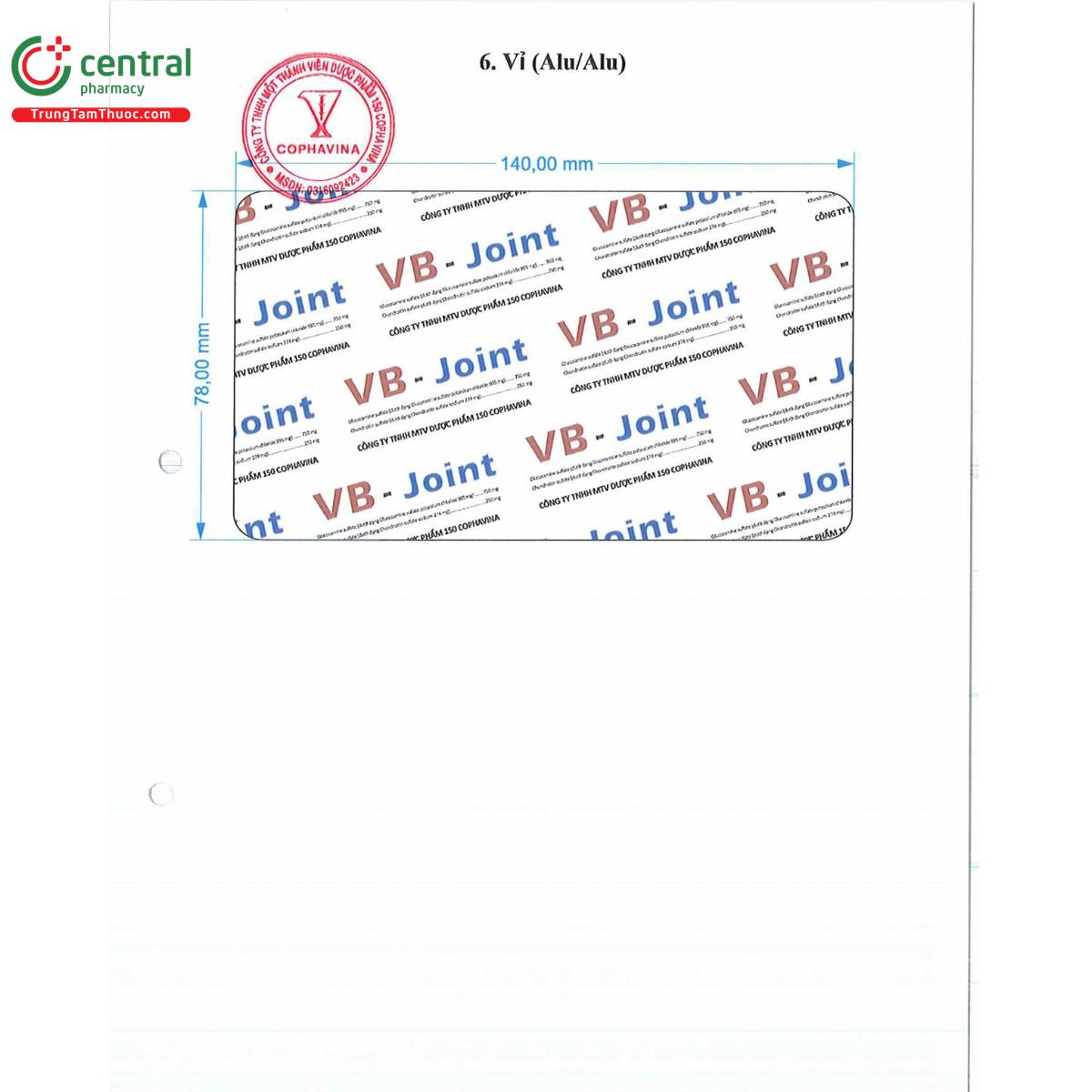 thuoc vb joint 750mg 250mg 6 C1566