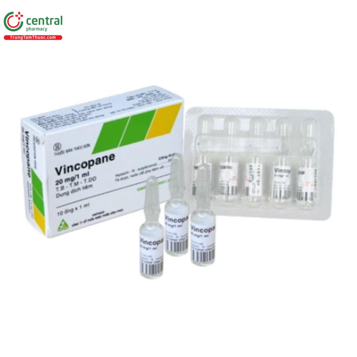 thuoc vincopane 20mg 1ml 10 R7634