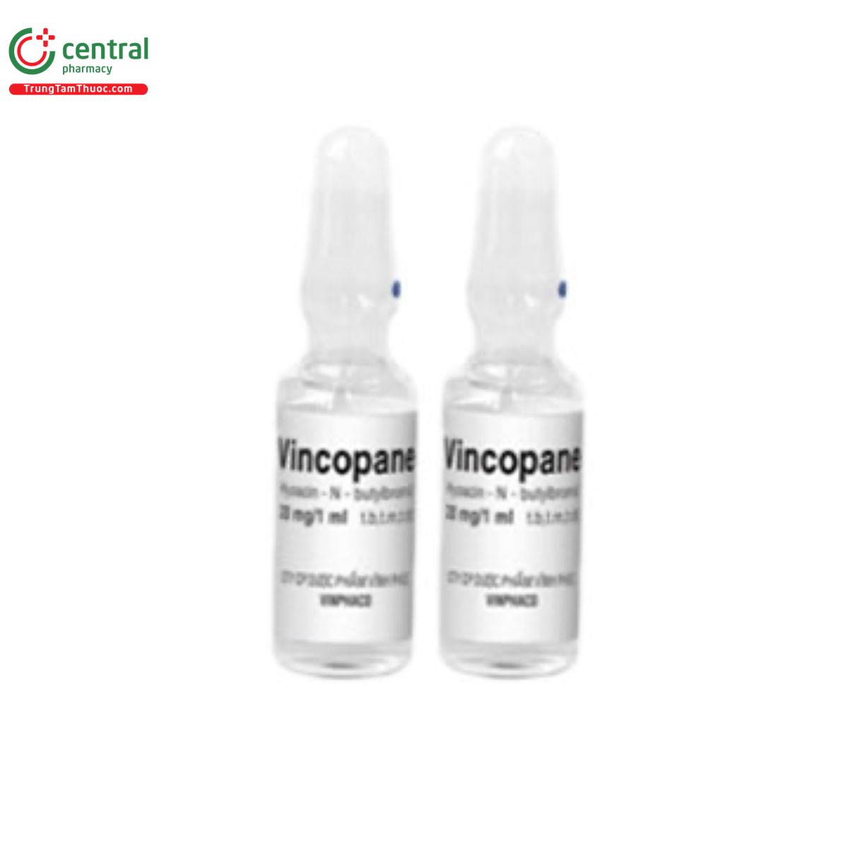 thuoc vincopane 20mg 1ml 6 N5655