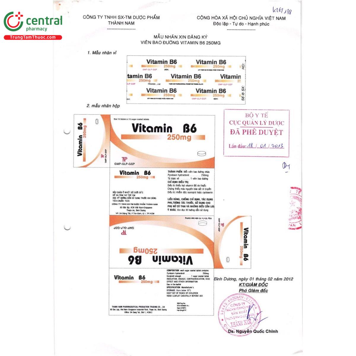 thuoc vitamin b6 250mg thanh nam 2 N5340 thuoc vitamin b6 250mg thanh nam 2 N5340