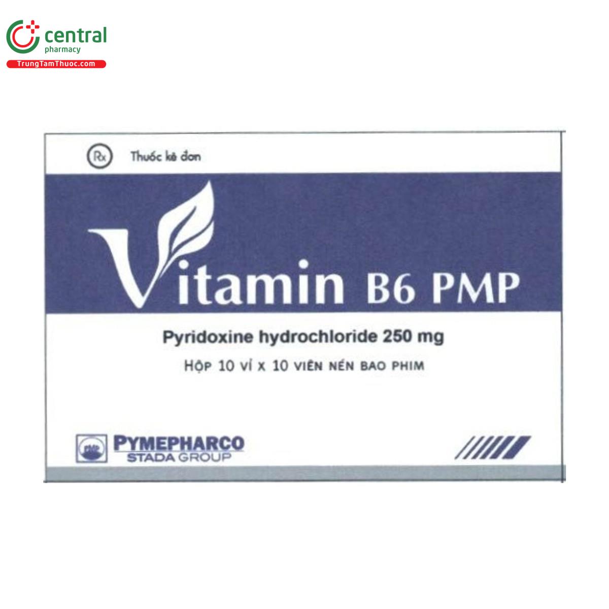 thuoc vitamin b6 pmp 250mg 1 O5565 thuoc vitamin b6 pmp 250mg 1 O5565
