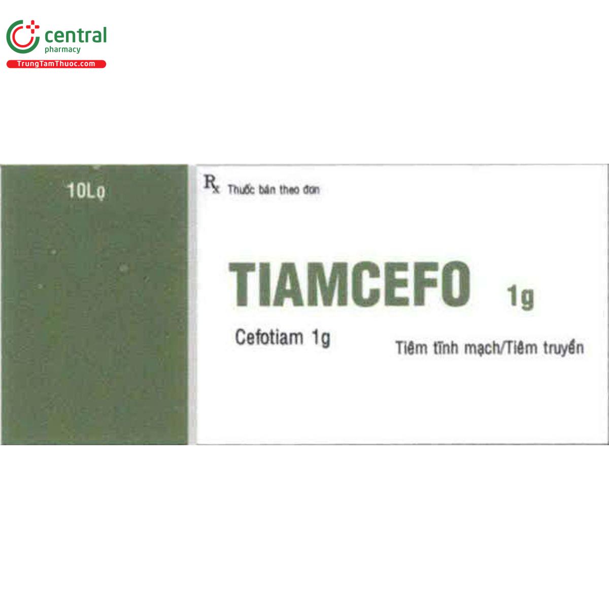 tiamcefo 5 A0317 tiamcefo 5 A0317