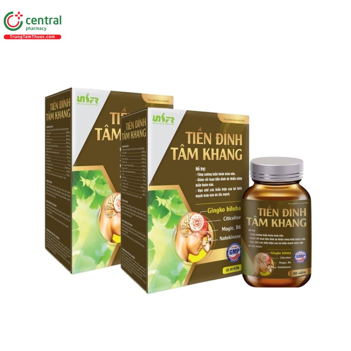 tien dinh tam khang 2 F2786