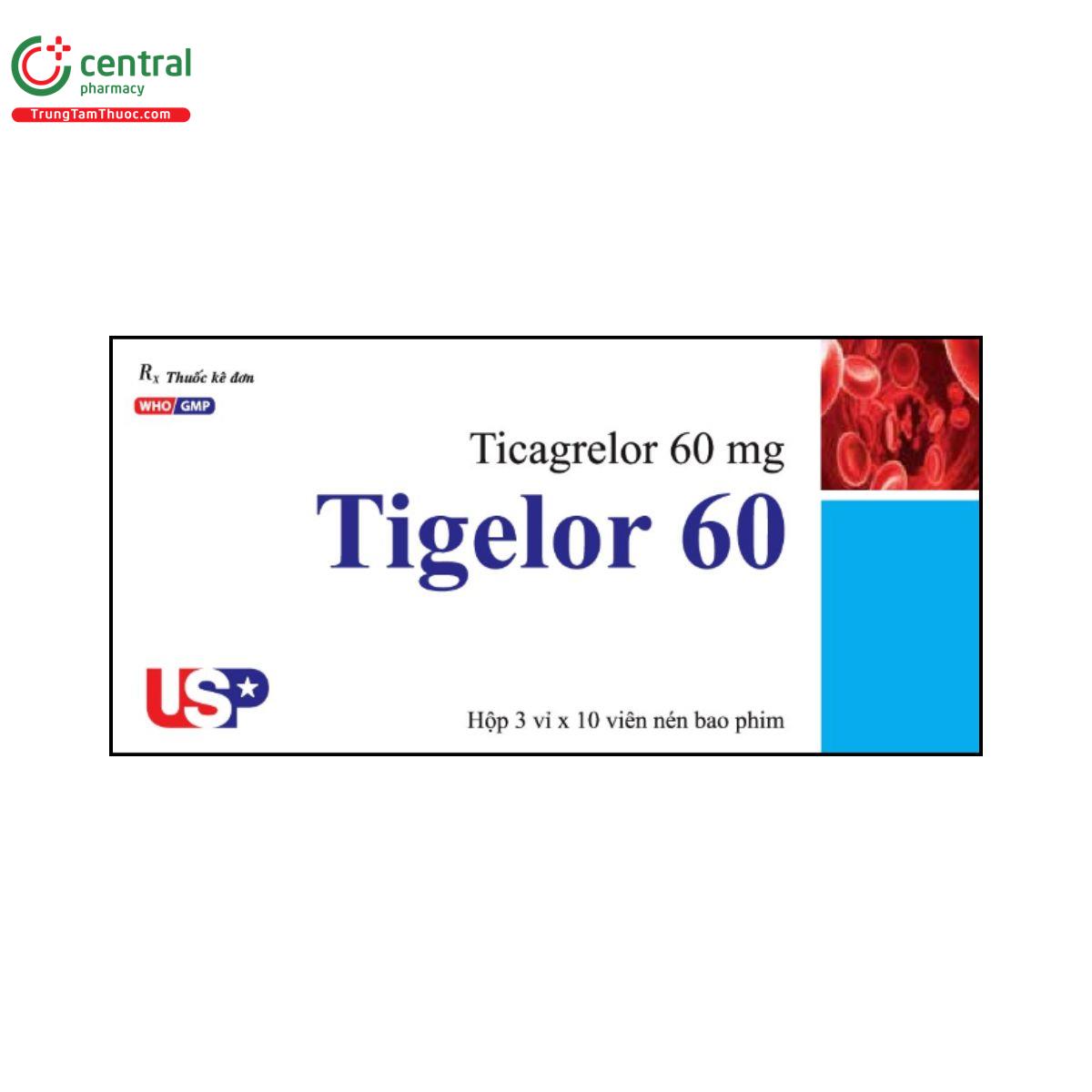tigelor 60 1 R6223 tigelor 60 1 R6223