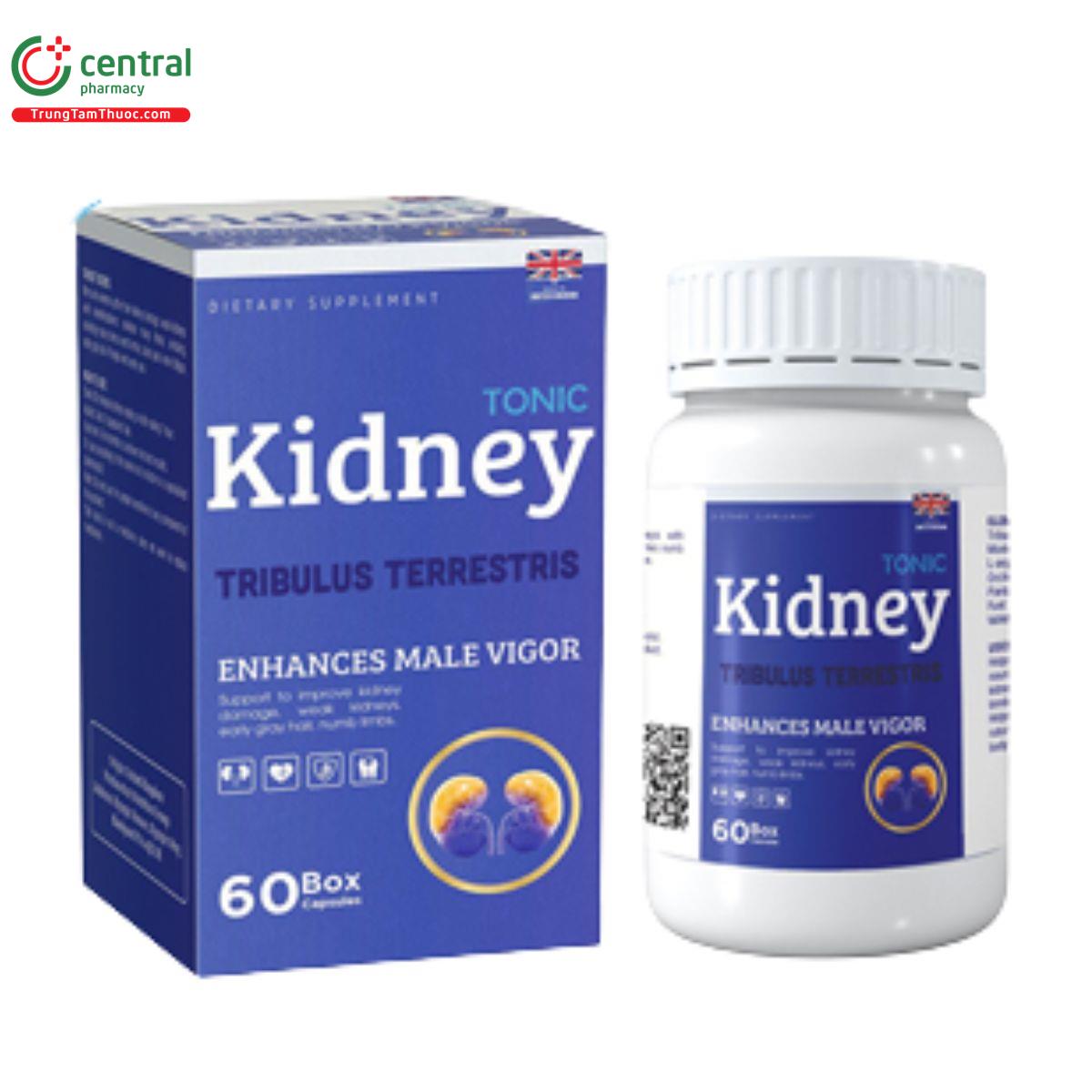 tonic kidney 2 A0201 tonic kidney 2 A0201