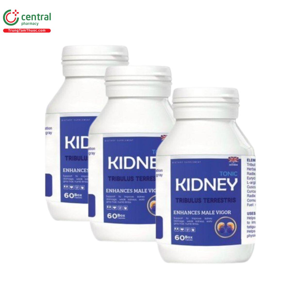 tonic kidney 3 H3847 tonic kidney 3 H3847