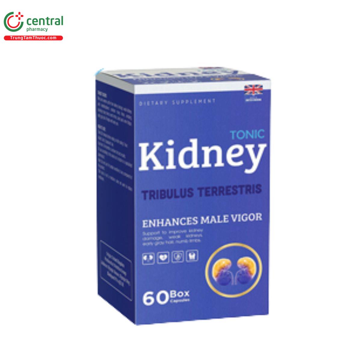 tonic kidney 5 K4002 tonic kidney 5 K4002