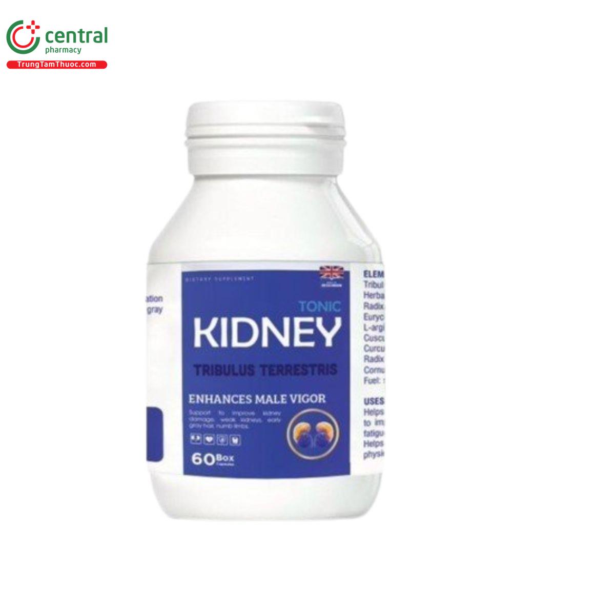 tonic kidney 6 R7648 tonic kidney 6 R7648