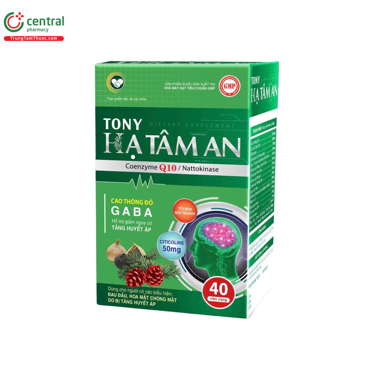 tony ha tam an 2 B0260