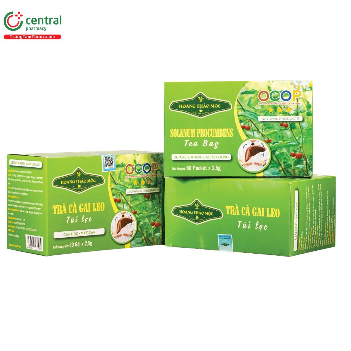 tra ca gai leo hoang thao moc 1 B0075