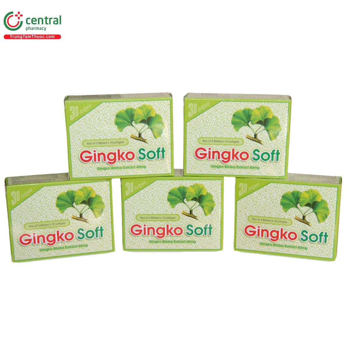 traly gingko soft 1 S7722