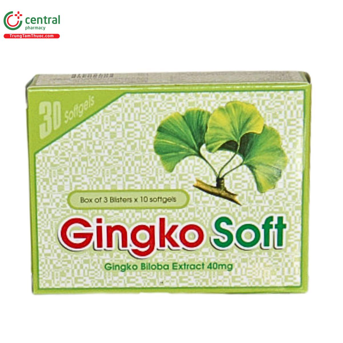 traly gingko soft 2 L4185