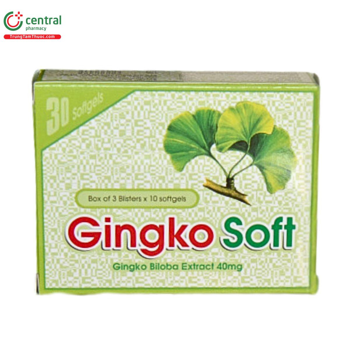 traly gingko soft 3 T7634