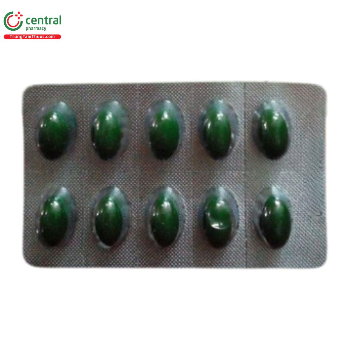 traly gingko soft 4 M5007