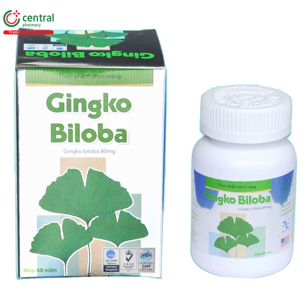 trang ly gingko biloba 80mg 1 O6727