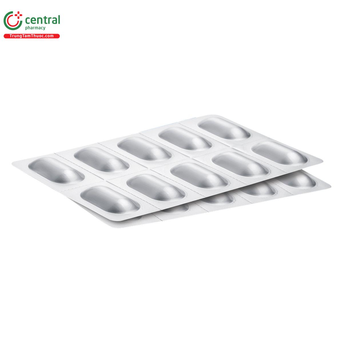 trang vi vuong sp 3 N5442