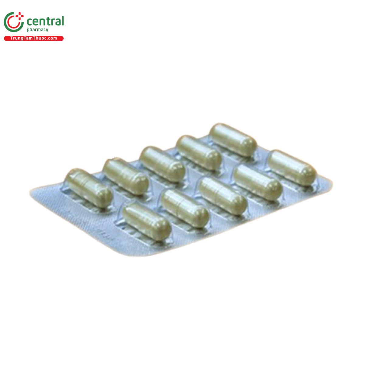 trasoyal 4 O5583