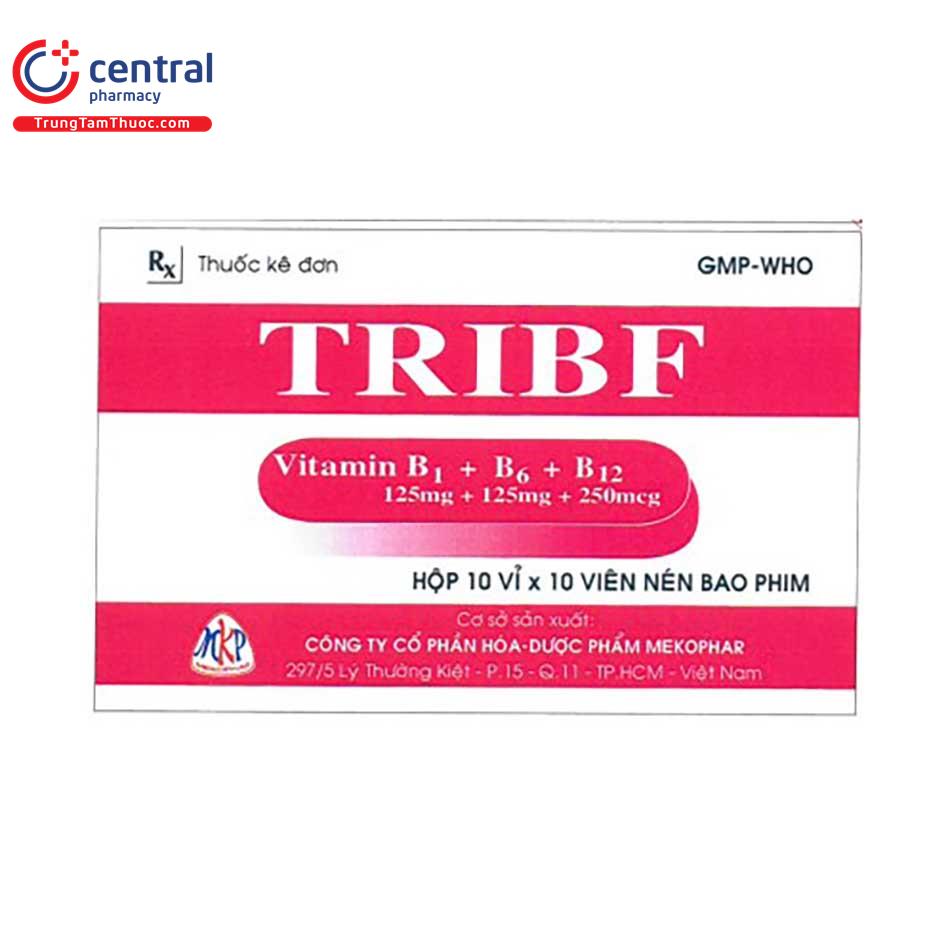 tribf 3 B0268