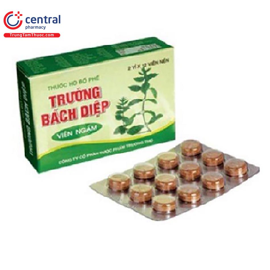 truong bach diep vien ngam 1 D1024