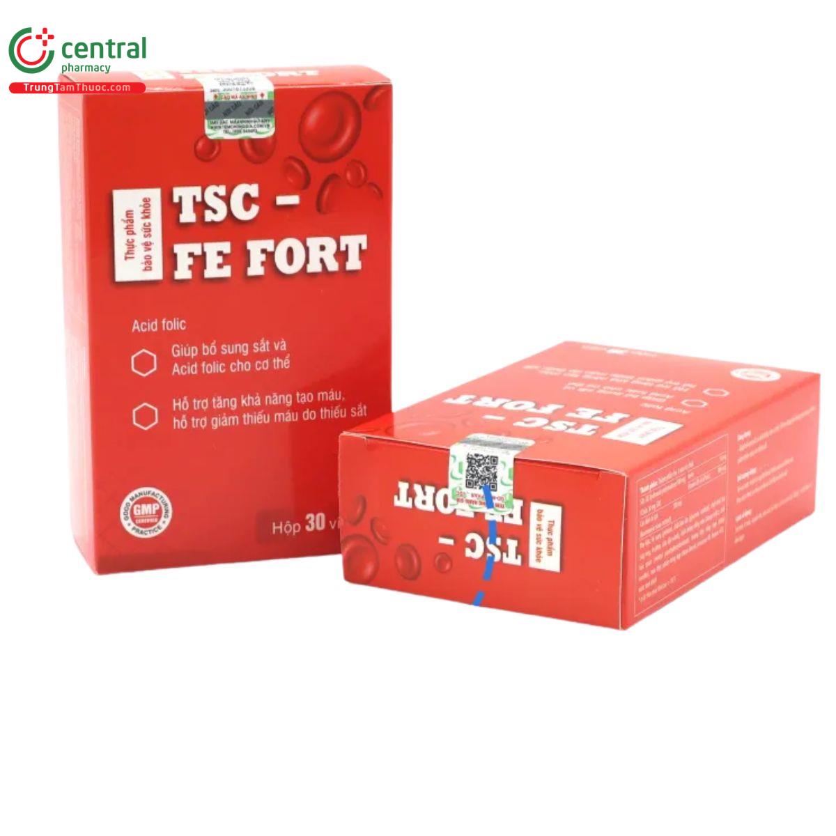 tsc fe fort 3 B0171 tsc fe fort 3 B0171