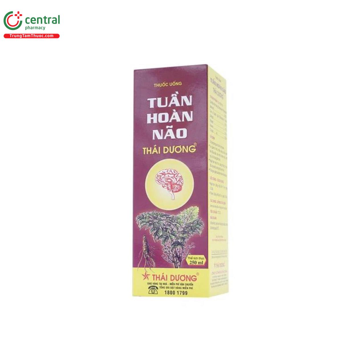 Tuần Hoàn Não Thái Dương 250ml